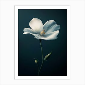 White Flower 5 Art Print