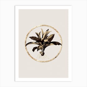 Gold Ring Kaempferia Angustifolia Glitter Botanical Illustration n.0162 Art Print