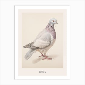 Vintage Bird Drawing Pigeon 2 Poster Art Print