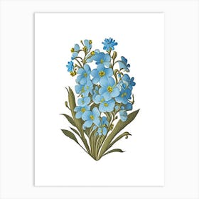 Forget Me Not 2 Floral Botanical Vintage Poster Flower Art Print