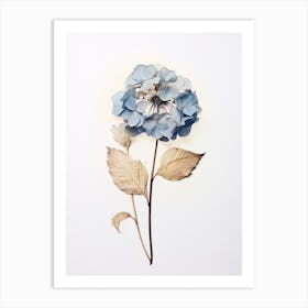 Pressed Flower Botanical Art Hydrangea 2 Art Print