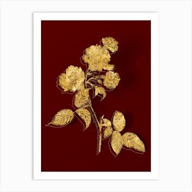 Vintage Red Cabbage Rose in Bloom Botanical in Gold on Red n.0571 Art Print