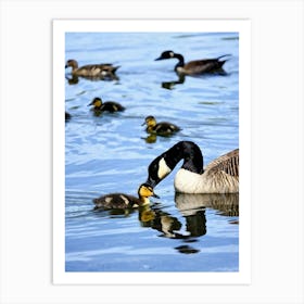 Canada Geese Art Print