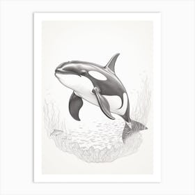 Minimalist Realism Of Orca Whale Pencil Drawing Style Art Print