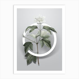 Vintage Guelder Rose Minimalist Flower Geometric Circle on Soft Gray n.0372 Art Print