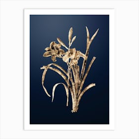 Gold Botanical Orange Day Lily on Midnight Navy n.0816 Art Print