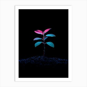 Plant Growing In The Dark 2 Art Print