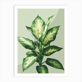 Dieffenbachia Plant Minimalist Illustration 3 Art Print