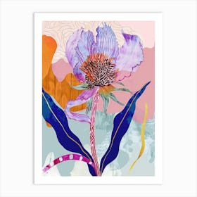 Colourful Flower Illustration Globe Amaranth 4 Art Print