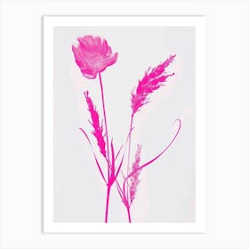 Hot Pink Fountain Grass 1 Art Print