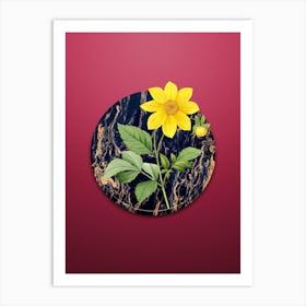 Vintage Dahlia Simplex Botanical in Gilded Marble on Viva Magenta Art Print