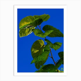 Blue Sky With Green Leaves 20230930160017pub Art Print