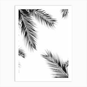 Palm Leaves On A White Background 1 Art Print