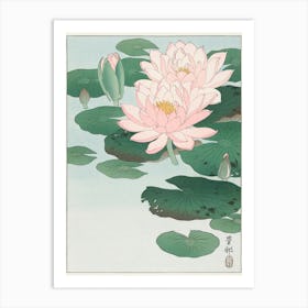 Water Lily, Ohara Koson Art Print