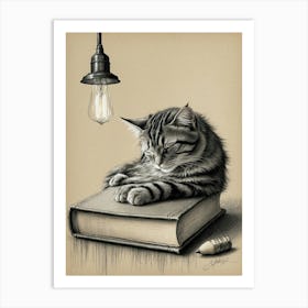 Cat Sleeping On A Book Art Print