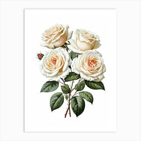 Vintage Galleria Style Rose Art Painting 5 Art Print