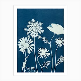 Wildflower cyanotype blue Art Print