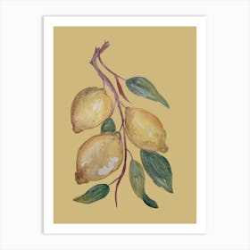 Yellow Lemons Botanical Affiche