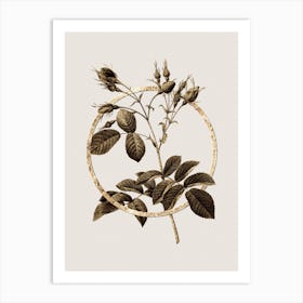 Gold Ring Evrat's Rose with Crimson Buds Glitter Botanical Illustration Art Print
