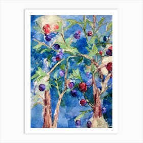 Elderberry 1 Classic Fruit Art Print