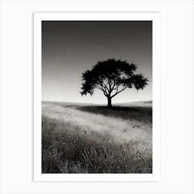 Lone Tree In The Field 2 Art Print