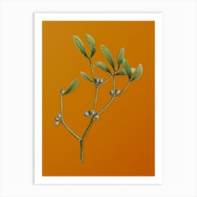 Vintage Viscum Album Branch Botanical on Sunset Orange Art Print