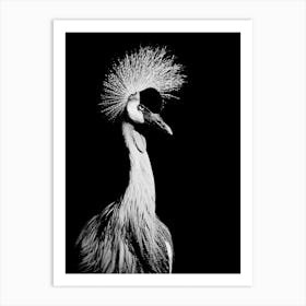 Long Beak Bird in Line Art Art Print
