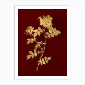 Vintage Pink Sweetbriar Roses Botanical in Gold on Red n.0119 Art Print