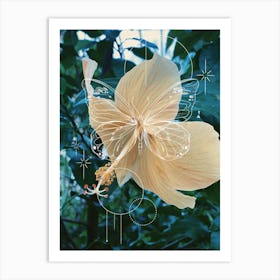 Butterfly Hibiscus Art Print