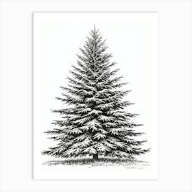 Fir Tree Pencil Sketch Ultra Detailed 4 Art Print