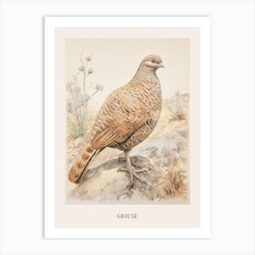 Vintage Bird Drawing Grouse 2 Poster Art Print