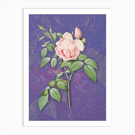 Vintage Fragrant Rosebush Botanical Illustration on Veri Peri n.0137 Art Print