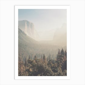 Foggy Yosemite Forest Art Print