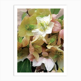 Hellebore spring flower Art Print