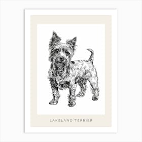 Lakeland Terrier Dog Line Sketch 2 Poster Art Print