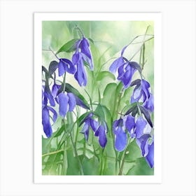Virginia Bluebells Wildflower Watercolour Art Print