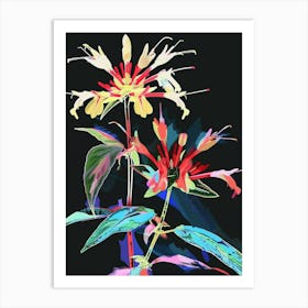 Neon Flowers On Black Bee Balm 3 Art Print