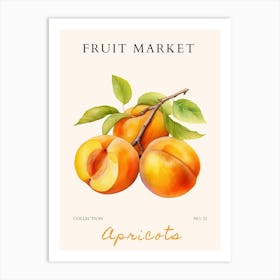 Apricots Art Print