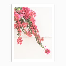 Bloom With Grace Art Print