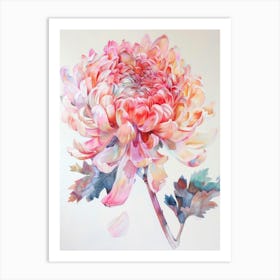 Chrysanthemum 1 Art Print