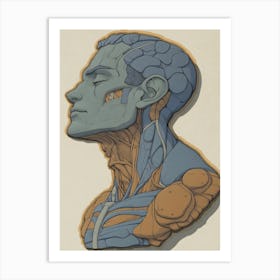 Anatomy Bust Art Print