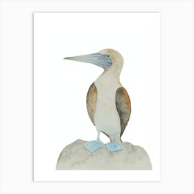 Blue-footed booby bird 2 Art Print