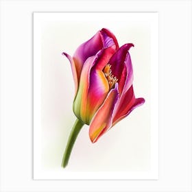 Tulip Wildflower Watercolour Art Print