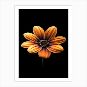 Daisy Flower Art Print