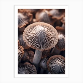 Mushroom Photography 5 Art Print