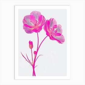 Hot Pink Evening Primrose Art Print