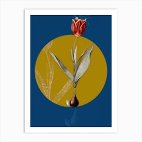 Vintage Botanical Tulip on Circle Yellow on Blue Art Print