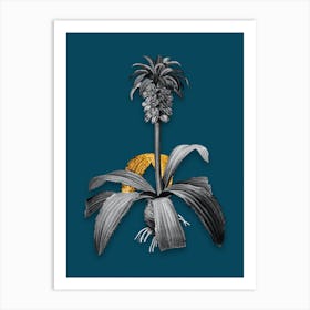 Vintage Eucomis Regia Black and White Gold Leaf Floral Art on Teal Blue n.1195 Art Print