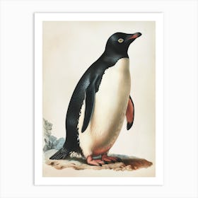 Adlie Penguin Zavodovski Island Vintage Botanical Painting 2 Art Print