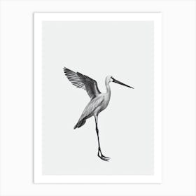 Stork B&W Pencil Drawing 2 Bird Art Print